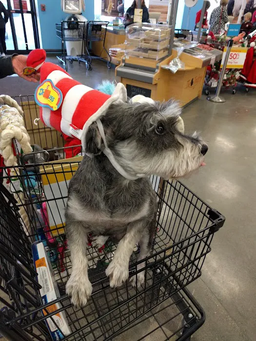Petco Picture 7