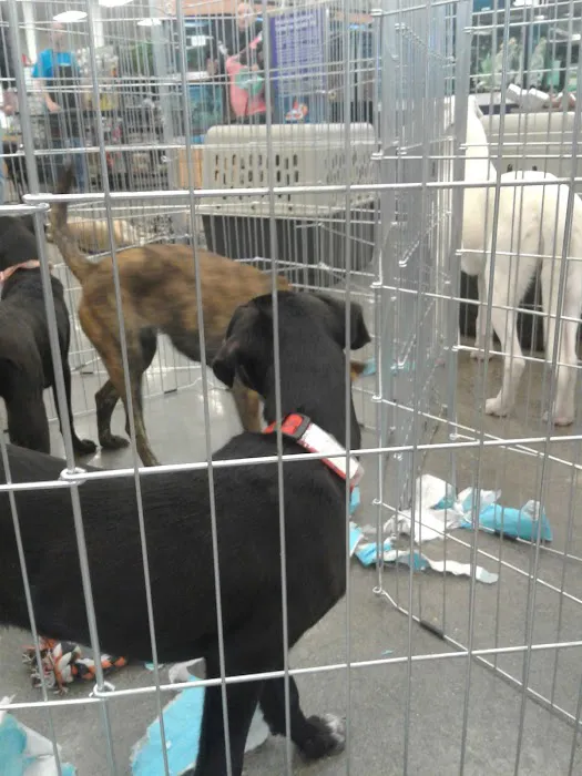 Petco Picture 10