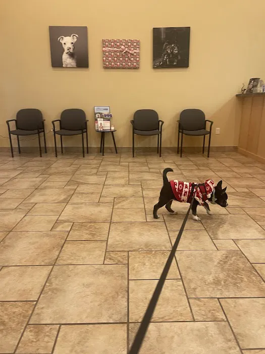 Creekview Veterinary Center Picture 7