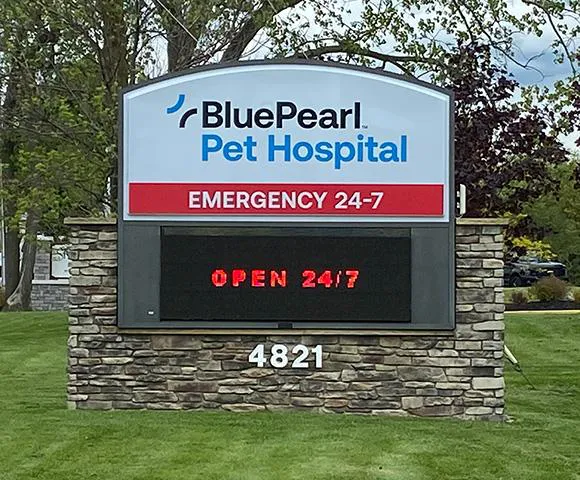 BluePearl Pet Hospital Picture 3