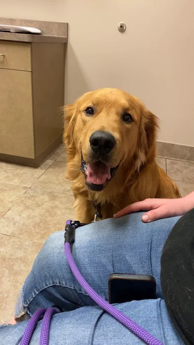 BluePearl Pet Hospital Picture 4