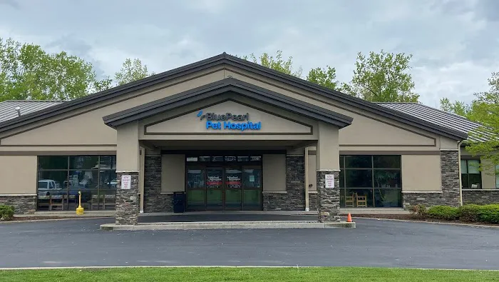 BluePearl Pet Hospital Picture 8