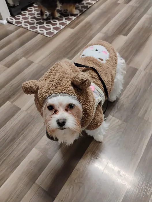 Rain or shine pets LLC Picture 1