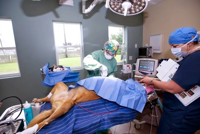 Eden Veterinary Clinic, PLLC Picture 2
