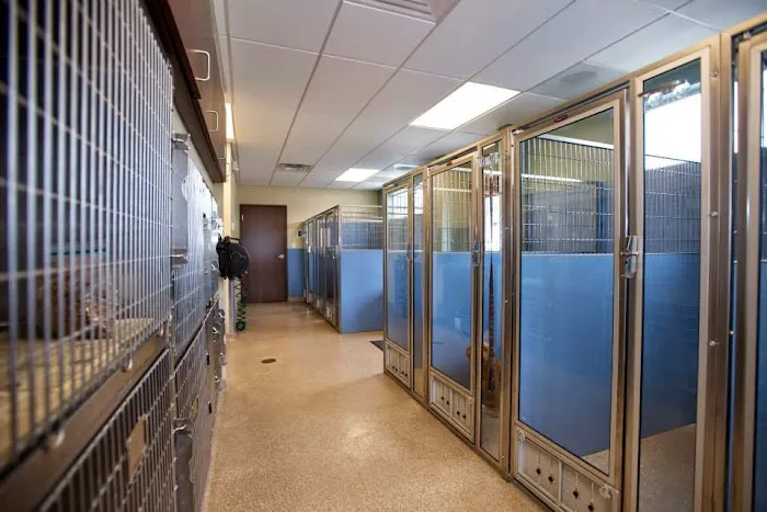 Eden Veterinary Clinic, PLLC Picture 3