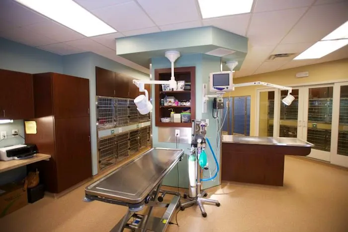 Eden Veterinary Clinic, PLLC Picture 1