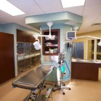 Eden Veterinary Clinic, PLLC ico