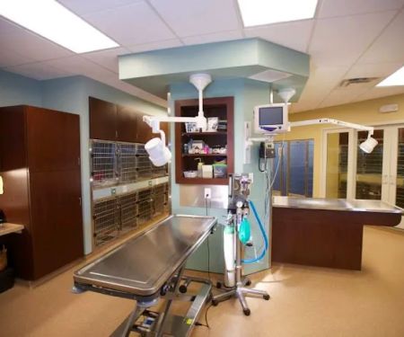 Eden Veterinary Clinic, PLLC