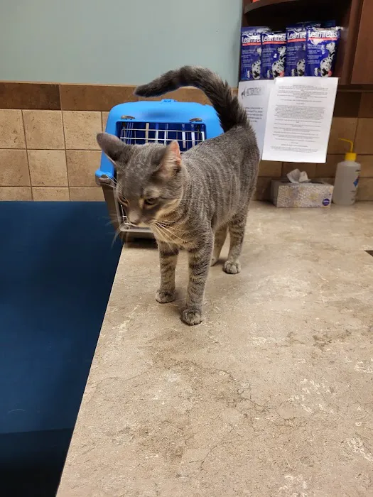 Eden Veterinary Clinic, PLLC Picture 7