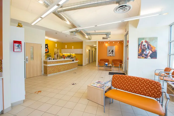 Village Veterinary Clinic of Hamburg Picture 2