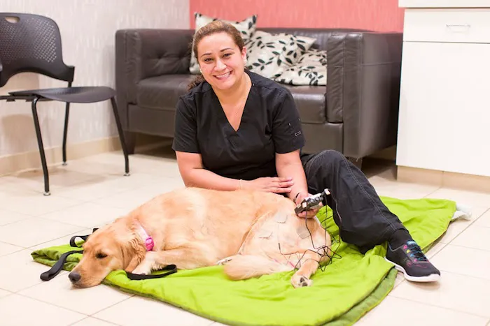 Village Veterinary Clinic of Hamburg Picture 5