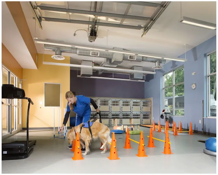 Village Veterinary Clinic of Hamburg Picture 7