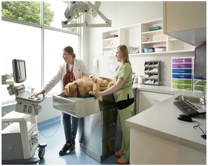 Village Veterinary Clinic of Hamburg Picture 10