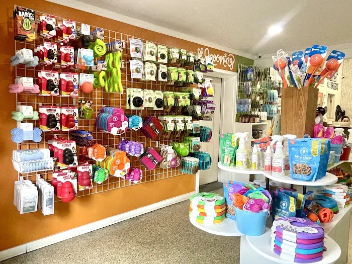 All Paws Pet Shop Picture 6