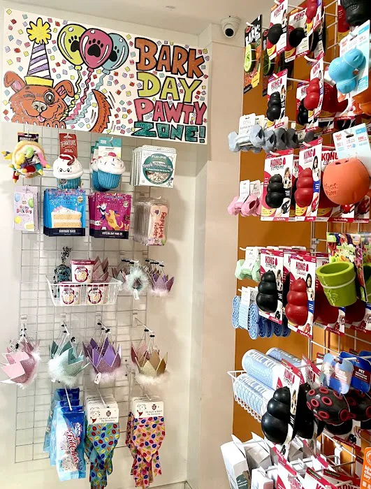 All Paws Pet Shop Picture 9