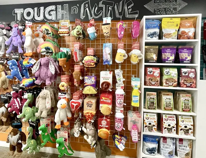 All Paws Pet Shop Picture 7
