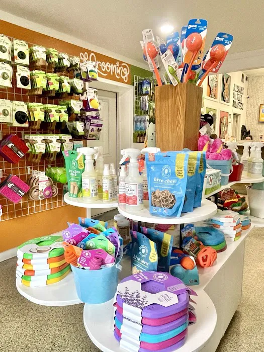 All Paws Pet Shop Picture 10