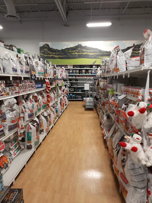 Petco Picture 3