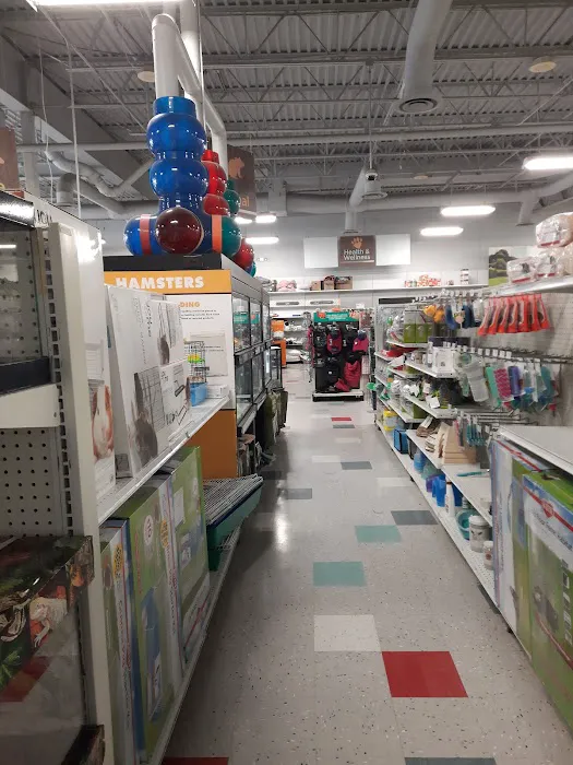 Petco Picture 8
