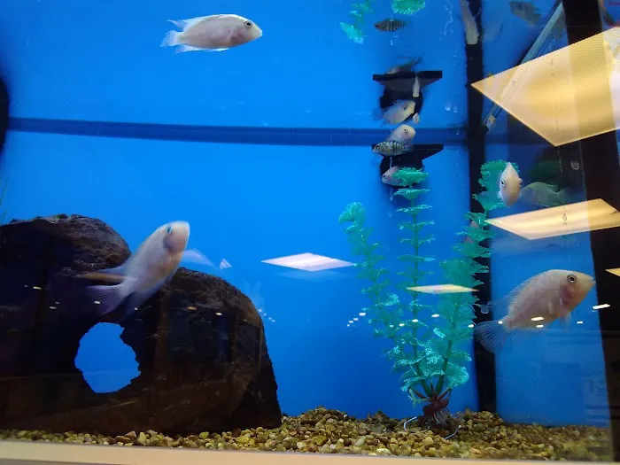 Petco Picture 1
