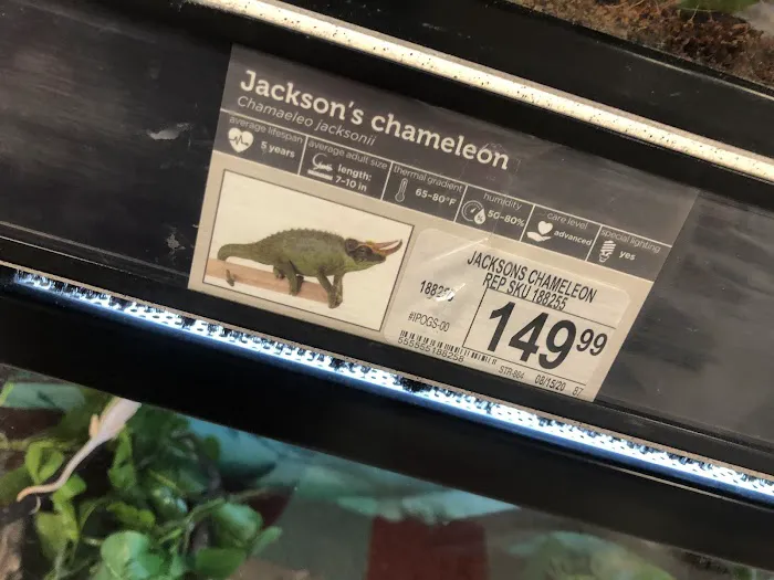 Petco Picture 4