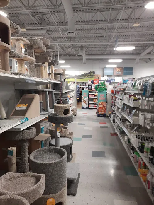 Petco Picture 5