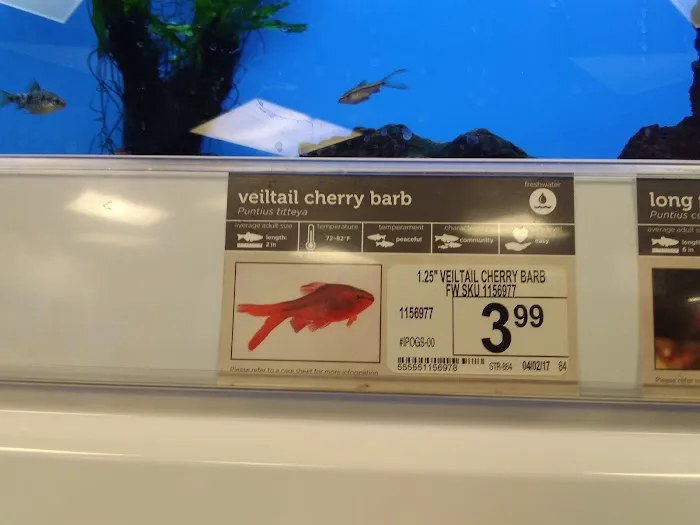 Petco Picture 10