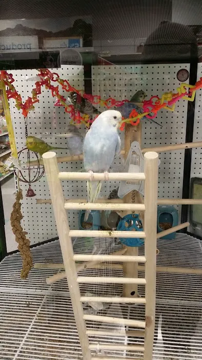 Petco Picture 9