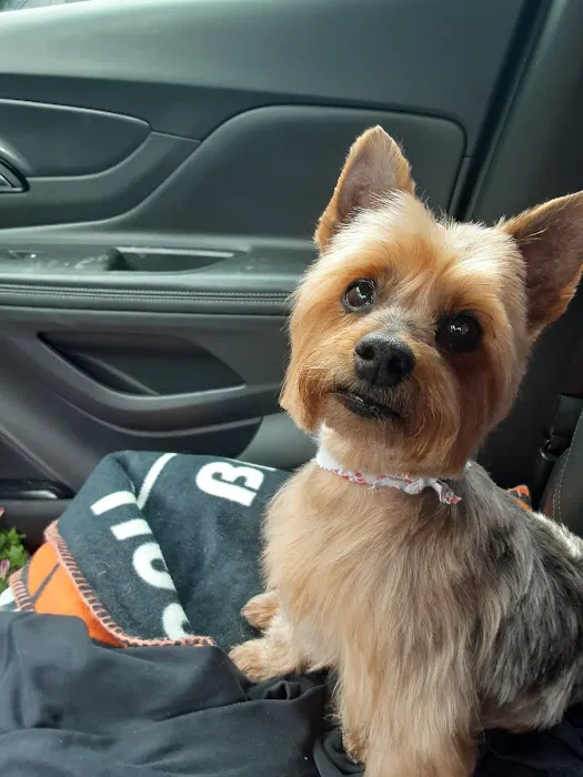 Tillou Veterinary Hospital Picture 1