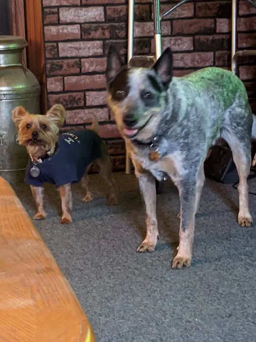 Tillou Veterinary Hospital Picture 6