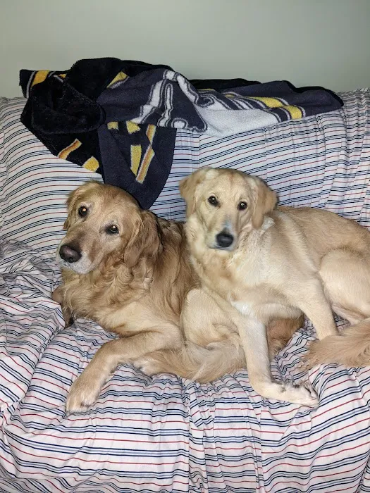 Tillou Veterinary Hospital Picture 5