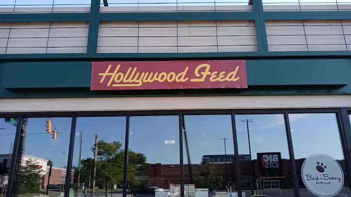 Hollywood Feed Picture 7