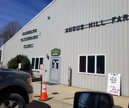 Randolph Veterinary Clinic