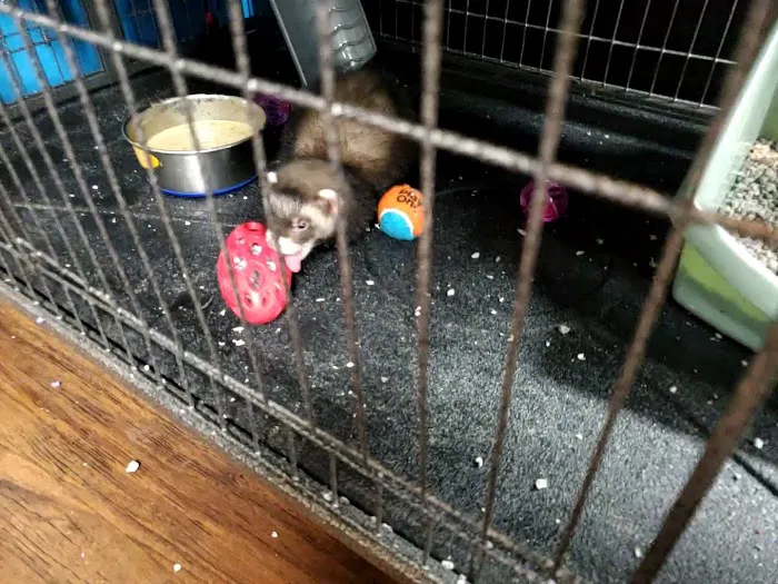 Pet Supplies Plus Upper Arlington Picture 1