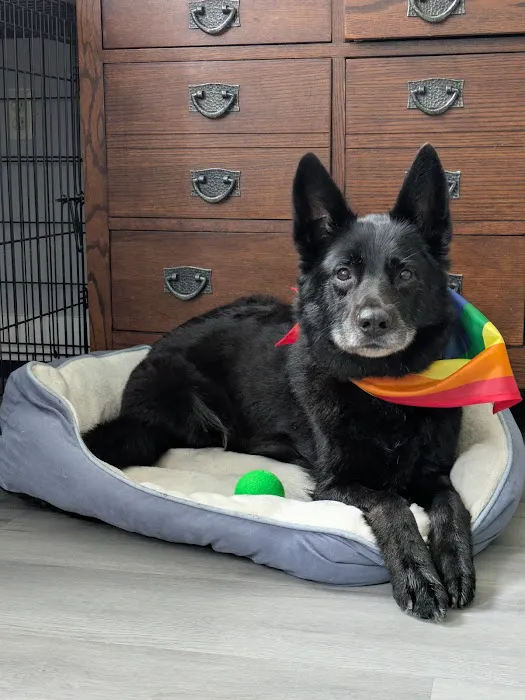 Pet Supplies Plus Upper Arlington Picture 2