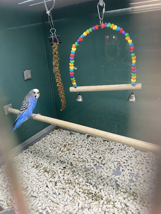 Pet Supplies Plus Upper Arlington Picture 6