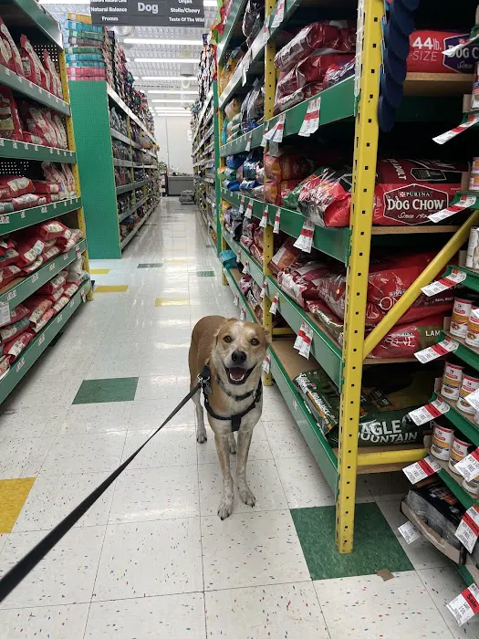 Pet Supplies Plus Upper Arlington Picture 9