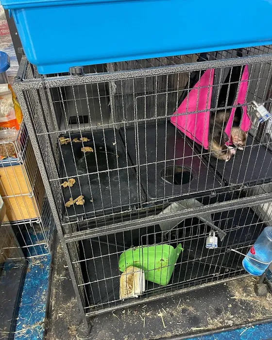 Pet Supplies Plus Upper Arlington Picture 8