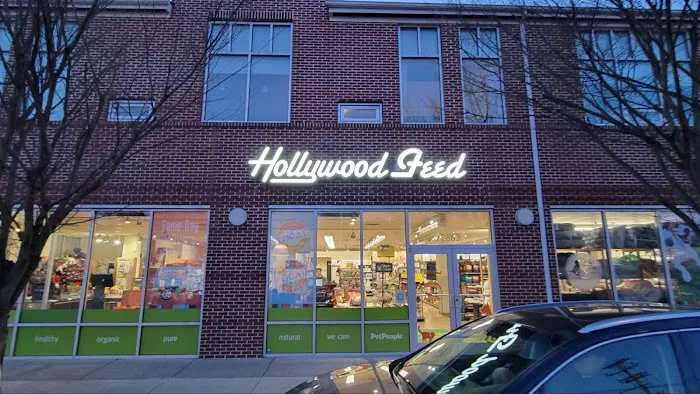 Hollywood Feed Picture 1