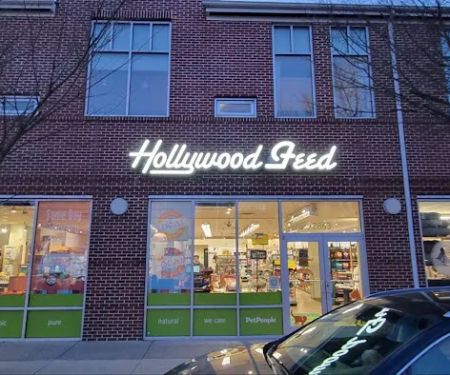 Hollywood Feed