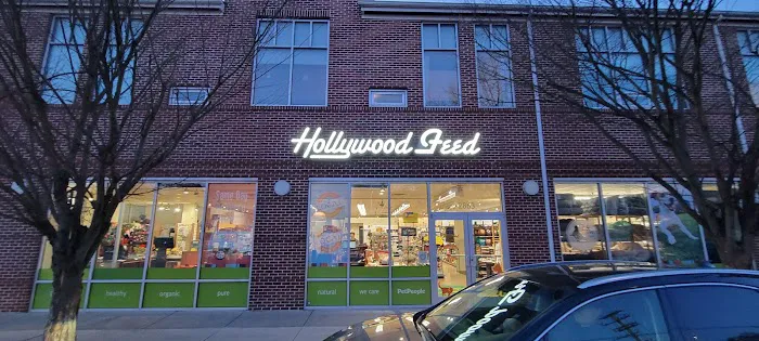 Hollywood Feed Picture 4