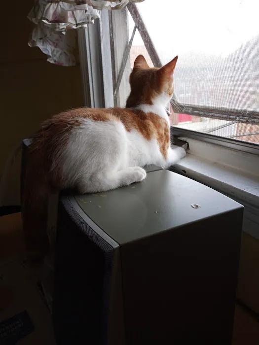 Encompass Animal Care and Health Picture 4