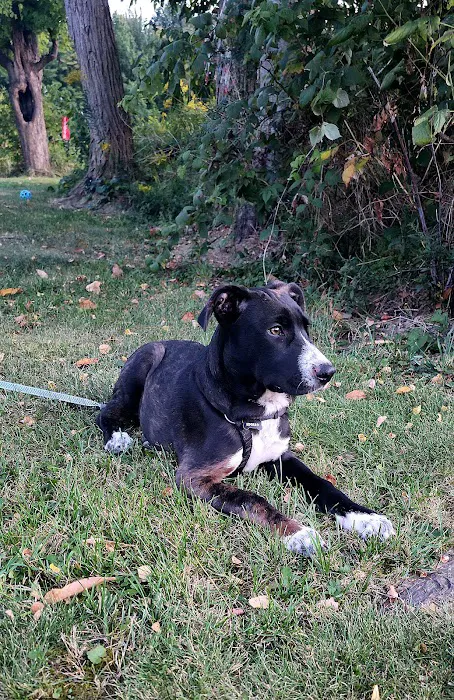 Encompass Animal Care and Health Picture 3