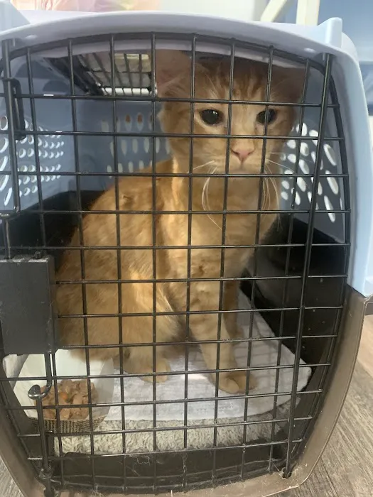 Encompass Animal Care and Health Picture 7