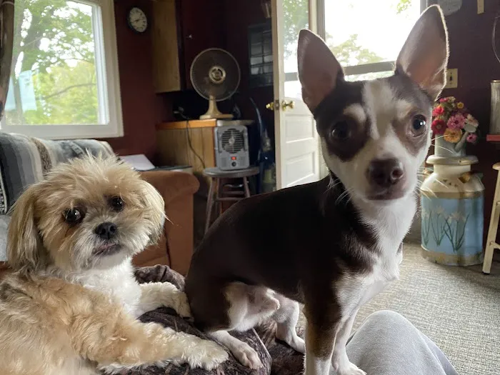 Encompass Animal Care and Health Picture 6
