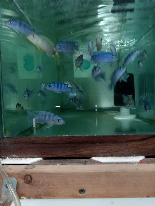 Outback Fish & Things Picture 2