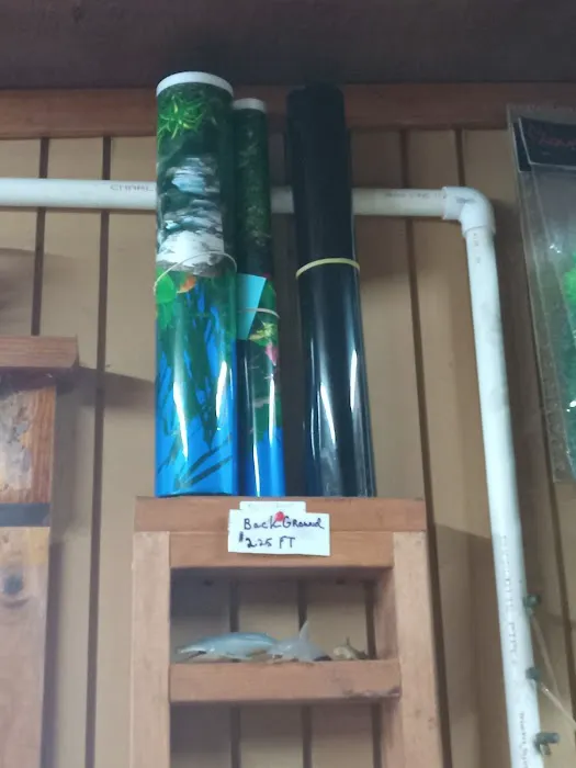 Outback Fish & Things Picture 1