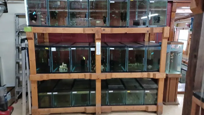 Outback Fish & Things Picture 4
