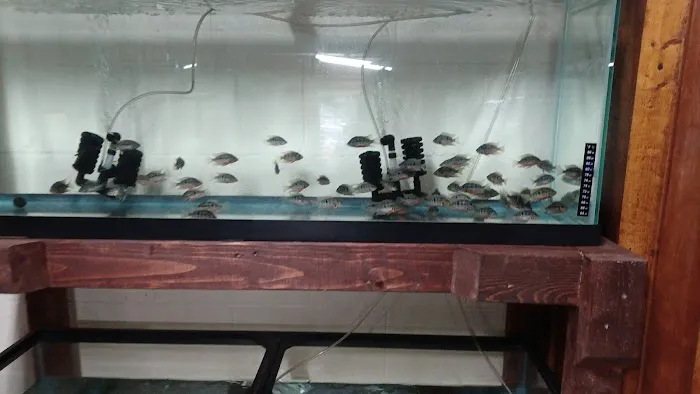 Outback Fish & Things Picture 7