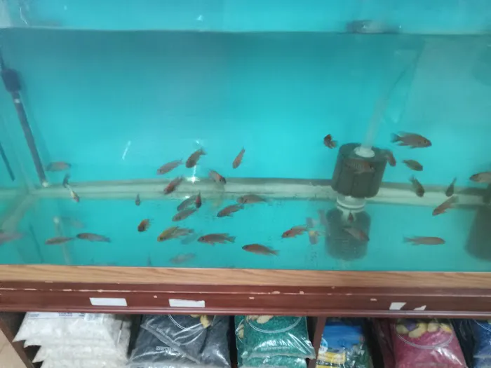 Outback Fish & Things Picture 10